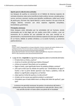 4. Disfrutamos y conservamos nuestra biodiversidad
19
Educación Primaria
4.°
grado
Aporte para la vida de otros animales
Los bosques de queñua se convierten en el hábitat de diversas especies de
animales silvestres, tales como mamíferos (ratón andino, tarucas, venados grises,
zorros, zorrinos y pumas), muchas aves (picaflor cordillerano, colibrí azul, torito
de pecho gris, churrete real, tijeral blanco) y varios insectos a los que sirven de
refugio; además, conviven con otras especies vegetales (orquídeas,
bromeliáceas, gramíneas).
Principales amenazas
Estos bosques están afectados por las actividades del ser humano, siendo
amenazados por la tala ilegal, por ser usados como leña y carbón, y por ser
escenarios de la práctica de una actividad de ocio, que consiste en la
aproximación y reconocimiento de las distintas especies de aves que allí habitan.
En un futuro, debido al cambio climático y a la acción humana, su presencia
podría disminuir.
 Luego de leer, respondo las siguientes preguntas sobre el contenido del texto:
— El texto tiene un título, ¿cuál es?
— ¿Cuál es el nombre del árbol que habita el bosque?
— ¿Cómo es la planta? Descríbela con tus palabras.
— Según el texto, ¿qué significado tienen las palabras follaje y corteza?
— ¿Por qué se dice que los árboles de queñua son “sembradores de agua”?
Vuelvo a leer la parte donde aparecen esas frases y palabras, trato de
deducir su significado o pregunto a un familiar.
— ¿Qué aporta el árbol de queñua a la vida animal?
— ¿Cuáles son las causas que podrían producir su extinción?
— ¿Considero que el texto debió tener un dibujo del árbol de queñua?, ¿por
qué?
La lectura me permitió reconocer las partes o la estructura del texto y
comprender que hay información importante en cada párrafo. Ahora, será
más sencillo escribir mi texto sobre una planta de mi localidad.
 
