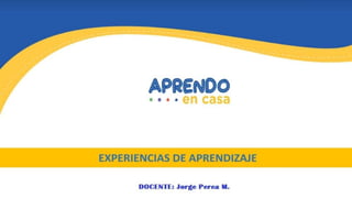Experiencias de Aprendizaje ppt