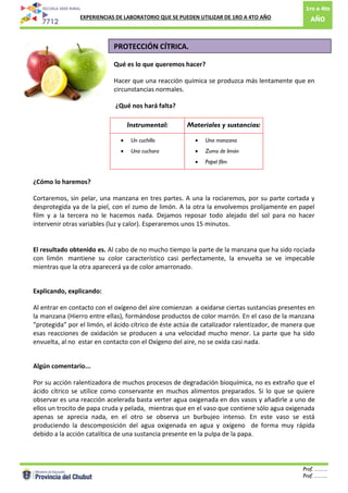 1ro a 4to
AÑO: EXPERIENCIAS DE LABORATORIO QUE SE PUEDEN UTILIZAR DE 1RO A 4TO AÑO
Prof. …….
Prof. …….4
PROTECCIÓN CÍTRICA.
Qué es lo que queremos hacer?
Hacer que una reacción química se produzca más lentamente que en
circunstancias normales.
¿Qué nos hará falta?
Instrumental: Materiales y sustancias:
 Un cuchillo
 Una cuchara
 Una manzana
 Zumo de limón
 Papel film
¿Cómo lo haremos?
Cortaremos, sin pelar, una manzana en tres partes. A una la rociaremos, por su parte cortada y
desprotegida ya de la piel, con el zumo de limón. A la otra la envolvemos prolijamente en papel
film y a la tercera no le hacemos nada. Dejamos reposar todo alejado del sol para no hacer
intervenir otras variables (luz y calor). Esperaremos unos 15 minutos.
El resultado obtenido es. Al cabo de no mucho tiempo la parte de la manzana que ha sido rociada
con limón mantiene su color característico casi perfectamente, la envuelta se ve impecable
mientras que la otra aparecerá ya de color amarronado.
Explicando, explicando:
Al entrar en contacto con el oxígeno del aire comienzan a oxidarse ciertas sustancias presentes en
la manzana (Hierro entre ellas), formándose productos de color marrón. En el caso de la manzana
“protegida” por el limón, el ácido cítrico de éste actúa de catalizador ralentizador, de manera que
esas reacciones de oxidación se producen a una velocidad mucho menor. La parte que ha sido
envuelta, al no estar en contacto con el Oxígeno del aire, no se oxida casi nada.
Algún comentario...
Por su acción ralentizadora de muchos procesos de degradación bioquímica, no es extraño que el
ácido cítrico se utilice como conservante en muchos alimentos preparados. Si lo que se quiere
observar es una reacción acelerada basta verter agua oxigenada en dos vasos y añadirle a uno de
ellos un trocito de papa cruda y pelada, mientras que en el vaso que contiene sólo agua oxigenada
apenas se aprecia nada, en el otro se observa un burbujeo intenso. En este vaso se está
produciendo la descomposición del agua oxigenada en agua y oxígeno de forma muy rápida
debido a la acción catalítica de una sustancia presente en la pulpa de la papa.
 