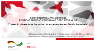 thumbnail of  Impact of Amazon Fund projects (O desafio de medir os impactos: as experiencias no Fundo Amazônia)