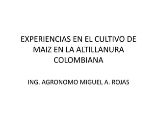 EXPERIENCIAS EN EL CULTIVO DE
MAIZ EN LA ALTILLANURA
COLOMBIANA
ING. AGRONOMO MIGUEL A. ROJAS
 