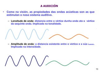 A AUDICIÓN Como na visión, as propiedades das ondas acústicas son as que estimulan o noso sistema auditivo.  Lonxitude de onda:  distancia entre o vértice dunha onda ata o  vértice da sequinte onda. Implicada na tonalidade. Amplitude de onda:  a distancia existente entre o vértice e a súa base. Implicada na intensidade. 