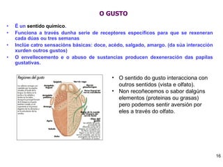O GUSTO É un  sentido químico . Funciona a través dunha serie de receptores específicos para que se rexeneran cada dúas ou tres semanas Inclúe catro sensacións básicas: doce, acédo, salgado, amargo. (da súa interacción xurden outros gustos) O envellecemento e o abuso de sustancias producen dexeneración das papilas gustativas.  O sentido do gusto interacciona con outros sentidos (vista e olfato). Non recoñecemos o sabor dalgúns elementos (proteinas ou grasas) pero podemos sentir aversión por eles a través do olfato.  