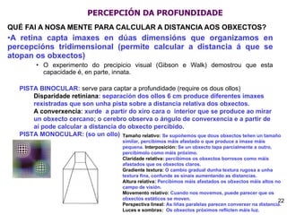 PERCEPCIÓN DA PROFUNDIDADE QUÉ FAI A NOSA MENTE PARA CALCULAR A DISTANCIA AOS OBXECTOS? A retina capta imaxes en dúas dimensións que organizamos en percepcións tridimensional (permite calcular a distancia á que se atopan os obxectos) O experimento do precipicio visual (Gibson e Walk) demostrou que esta capacidade é, en parte, innata. PISTA BINOCULAR:  serve para captar a profundidade (require os dous ollos) Disparidade retiniana : separación dos ollos 6 cm produce diferentes imaxes rexistradas que son unha pista sobre a distancia relativa dos obxectos.  A converxencia : xurde  a partir do xiro cara o  interior que se produce ao mirar un obxecto cercano; o cerebro observa o ángulo de converxencia e a partir de aí pode calcular a distancia do obxecto percibido. PISTA MONOCULAR: (so un ollo) Tamaño relativo:  Se supoñemos que dous obxectos teñen un tamaño similar, percibimos máis afastado o que produce a imaxe máis pequena.  Interposición:  Se un obxecto tapa parcialmente a outro, percibímolo como máis próximo. Claridade relativa:  percibimos os obxectos borrosos como máis afastados que os obxectos claros. Gradiente textura:  O cambio gradual dunha textura rugosa a unha textura fina, confunde as sinais aumentando as distancias. Altura relativa:  Percibimos máis afastados os obxectos máis altos no campo de visión. Movemento relativo:  Cuando nos movemos, puede parecer que os obxectos estáticos se moven. Perspectiva lineal:  As líñas paralelas parecen converxer na distancia. Luces e sombras:  Os obxectos próximos reflicten máis luz. 
