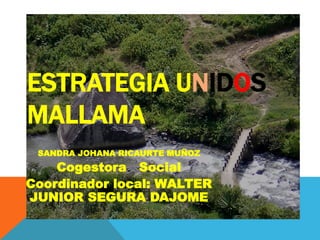 ESTRATEGIA UNIDOS
MALLAMA
SANDRA JOHANA RICAURTE MUÑOZ
Cogestora Social
Coordinador local: WALTER
JUNIOR SEGURA DAJOME
 