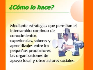 SIDER - Sistema de Información para el Desarrollo Empresarial Rural