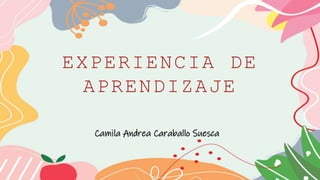 EXPERIENCIA DE
APRENDIZAJE
Camila Andrea Caraballo Suesca
 