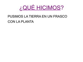 ¿QUÉ HICIMOS? 
PUSIMOS LA TIERRA EN UN FRASCO 
CON LA PLANTA 
 