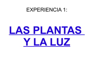 EXPERIENCIA 1: 
LAS PLANTAS 
Y LA LUZ 
 