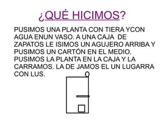¿QUÉ HICIMOS? 
PUSIMOS UNA PLANTA CON TIERA YCON 
AGUA ENUN VASO. A UNA CAJA DE 
ZAPATOS LE ISIMOS UN AGUJERO ARRIBA Y 
PUSIMOS UN CARTÓN EN EL MEDIO. 
PUSIMOS LA PLANTA EN LA CAJA Y LA 
CARRAMOS. LA DE JAMOS EL UN LUGARRA 
CON LUS. 
 