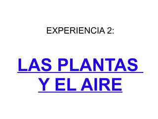 EXPERIENCIA 2: 
LAS PLANTAS 
Y EL AIRE 
 