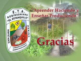 Experiencias Robinsoniana