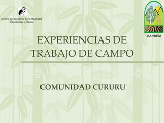EXPERIENCIAS DE TRABAJO DE CAMPO COMUNIDAD CURURU SANREM Centro de Estudios de la Realidad Económica y Social 