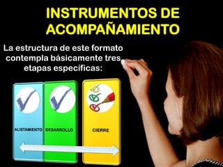 INSTRUMENTOS DE ACOMPAÑAMIENTO 
La estructura de este formato contempla básicamente tres etapas específicas:  