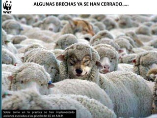 Experiencias en Adaptación Climática 