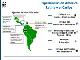 Experiencias en Adaptación Climática 