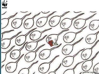 Experiencias en Adaptación Climática 