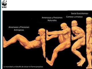 Experiencias en Adaptación Climática 