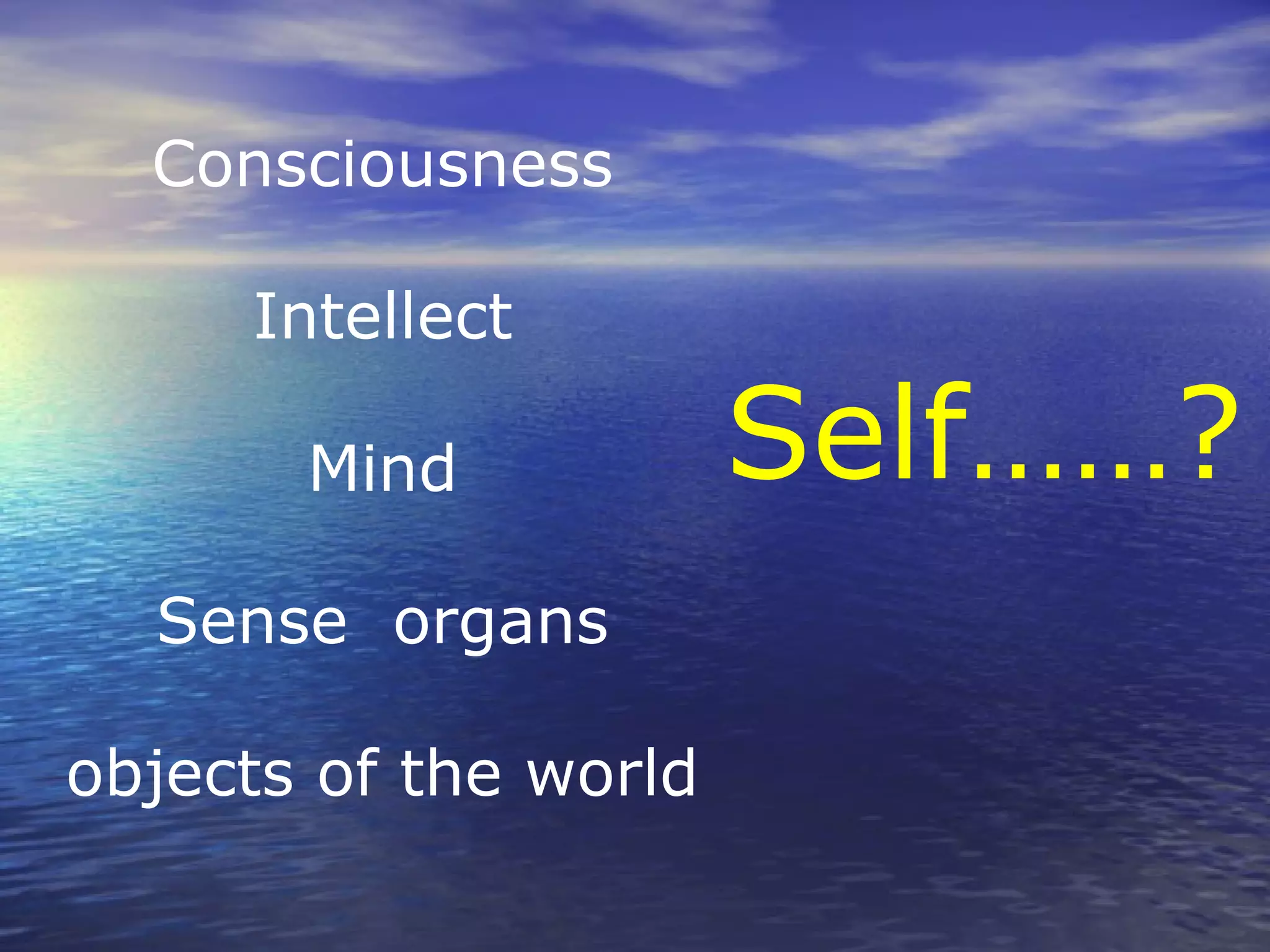 Consciousness
Intellect
Mind
Sense organs
objects of the world
Self……?
 