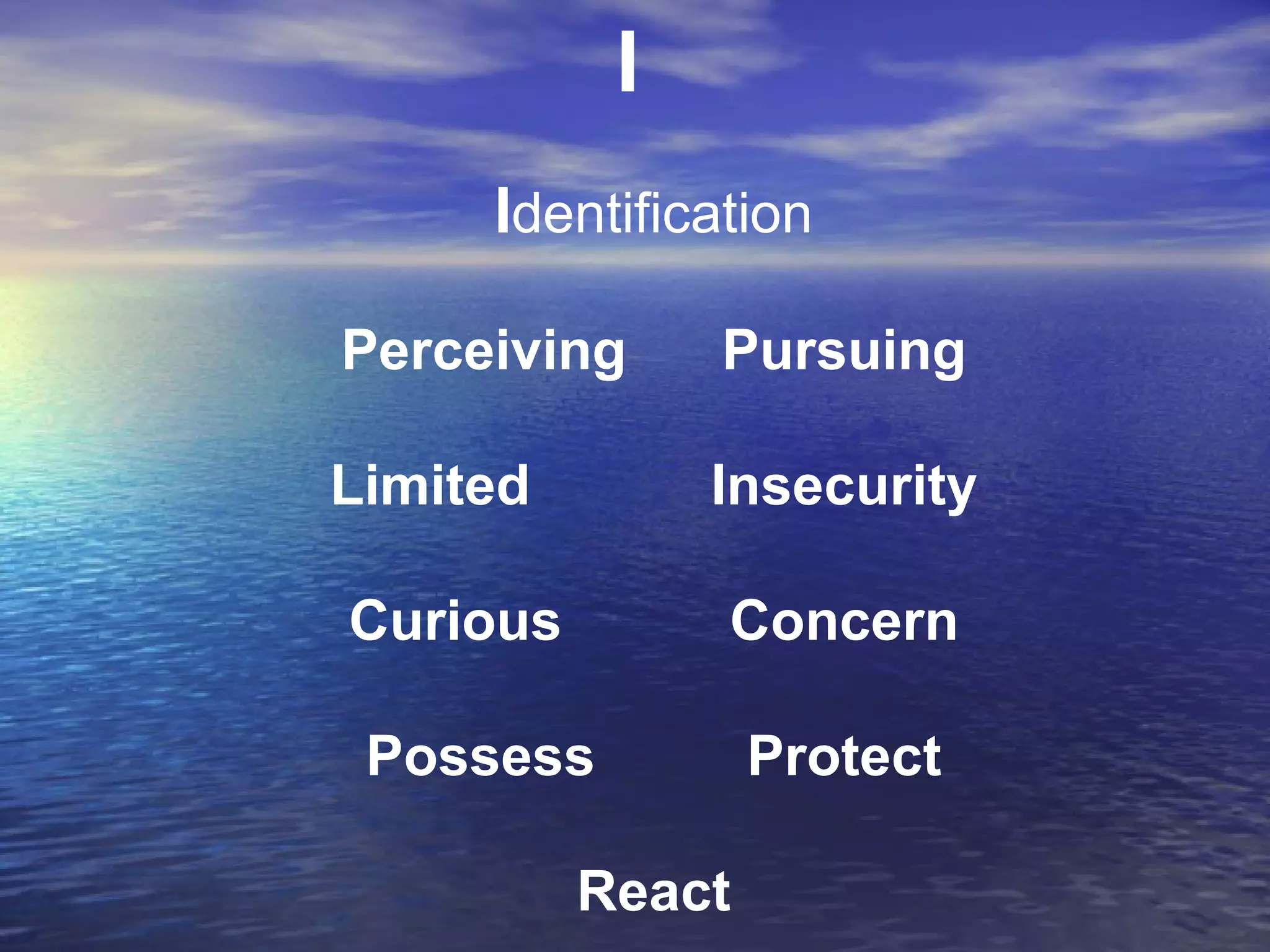 Identification
Perceiving Pursuing
Limited Insecurity
Curious Concern
Possess Protect
React
I
 