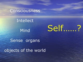 Consciousness
Intellect
Mind
Sense organs
objects of the world
Self……?
 