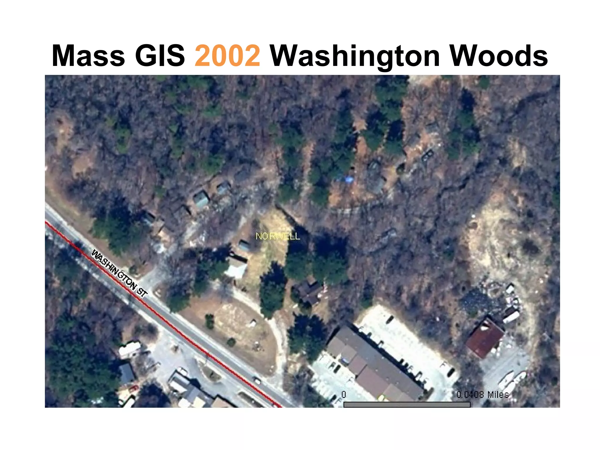 Mass GIS  2002  Washington Woods 