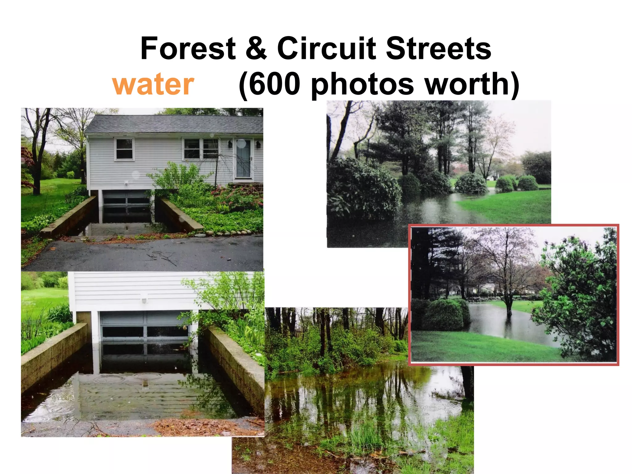 Forest & Circuit Streets water  (600 photos worth) 