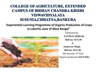“Experiential Learning Programme of Organic Production of Crops
in Lateritic zone of West Bengal”
Submitted by:
TANMAY MODAK
Roll no- SUS-30
&
Sushovan Majhi
Roll no- SUS-28
8th semester, 4th Year
Organic production (ELP-456)
 