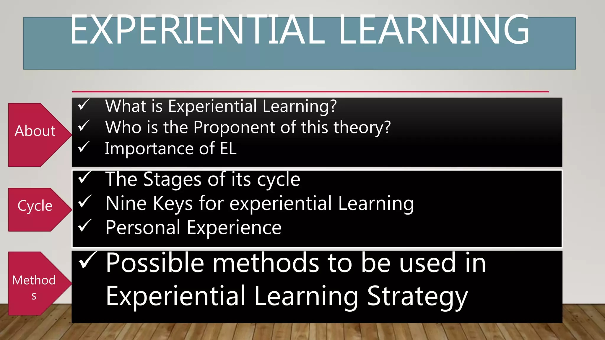 Experiential Learning Report by Luis & Richard TCP.pptx