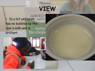 VIEW
• Is a bit yellowish,
has no bubbles as the
cow's milk and is
brilliant.

 