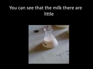 It is mixing with the glass wind,
You can see that the milk there are
little lumps

 