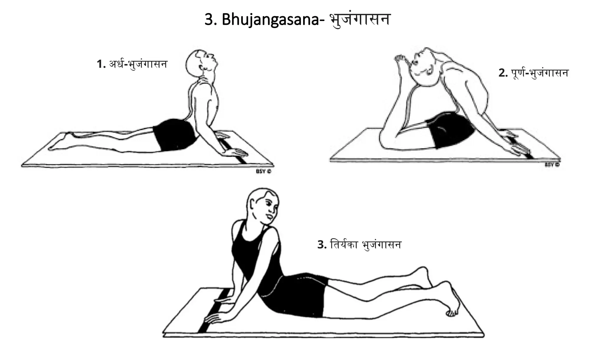 3. Bhujangasana- भुजंगासन
1. अर्ध-भुजंगासन
2. पूर्ण-भुजंगासन
3. तिर्यका भुजंगासन
 