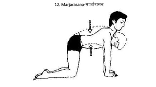 12. Marjarasana-मार्जारासन
 