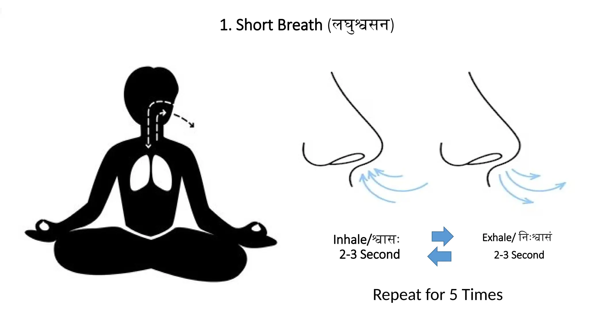 Inhale/श्वासः
2-3 Second
1. Short Breath (लघुश्वसन)
Exhale/ निःश्वासं
2-3 Second
Repeat for 5 Times
 