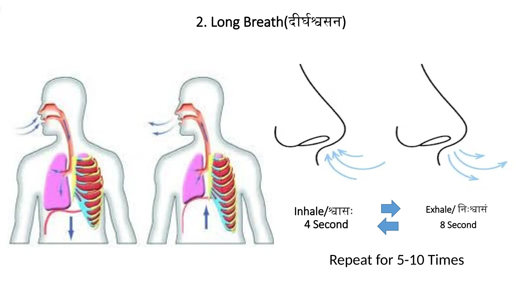 Inhale/श्वासः
4 Second
2. Long Breath(दीर्घश्वसन)
Exhale/ निःश्वासं
8 Second
Repeat for 5-10 Times
 