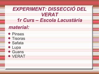 EXPERIMENT: DISSECCIÓ DEL
VERAT
1r Curs – Escola Lacustària
 Pinses
 Tisoras
 Safata
 Lupa
 Guans
 VERAT
material:
 