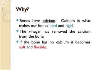 Why?Why?
Bones have calcium. Calcium is what
makes our bones hard and rigid.
The vinegar has removed the calcium
from the bone.
If the bone has no calcium it becomes
soft and flexible.