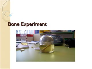 BoneBone ExperimentExperiment
 
