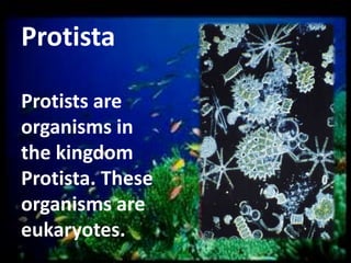 Protista
Protists are
organisms in
the kingdom
Protista. These
organisms are
eukaryotes.

 