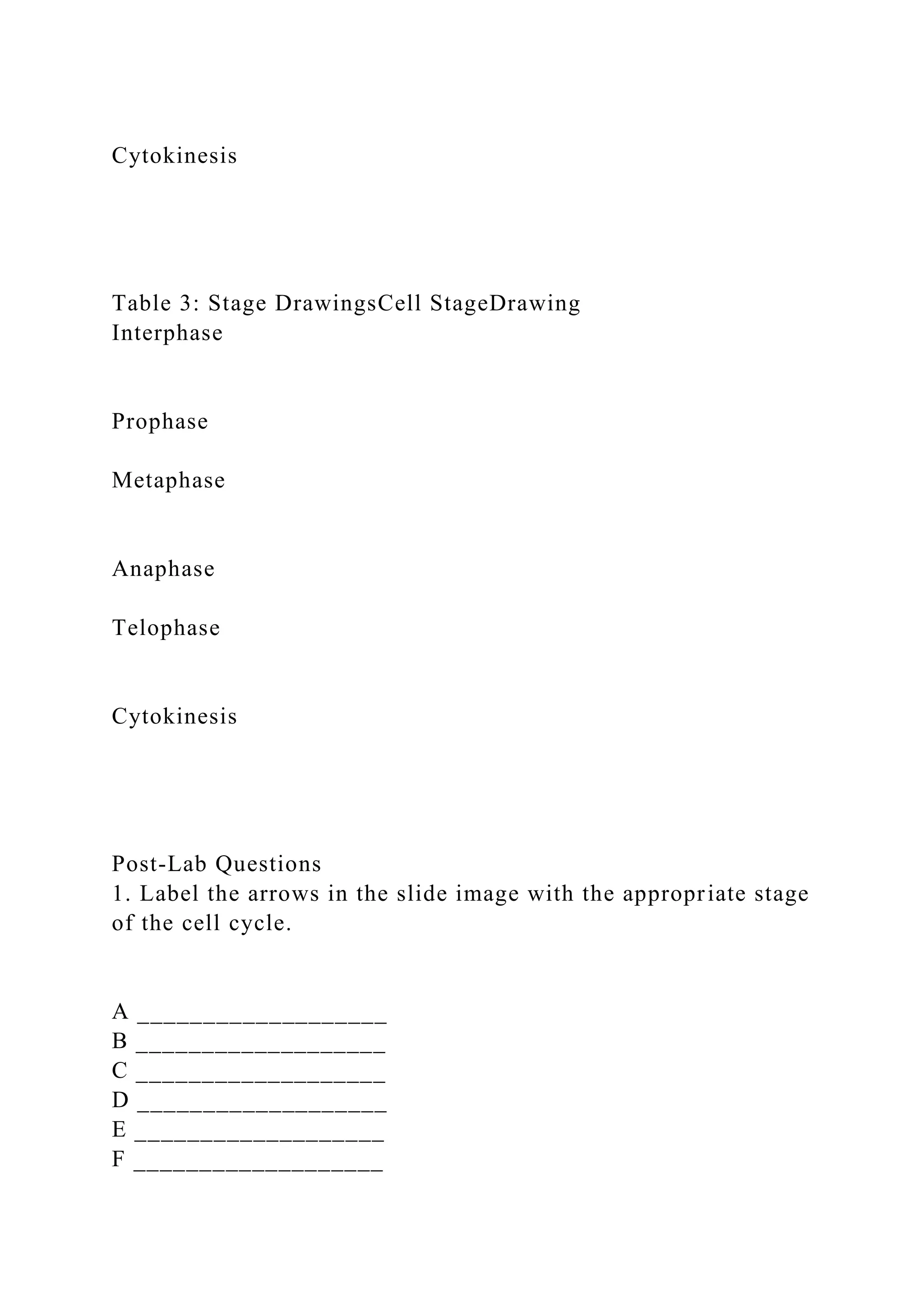 EXPERIMENT 1 OBSERVATION OF MITOSIS IN A PLANT CELLData Table.docx
