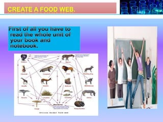 Experiment 4. Create your food web. | PPTX