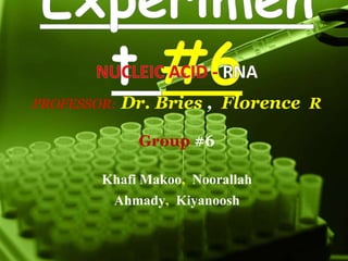 PROFESSOR: Dr. Bries , Florence R 
Group #6 
Khafi Makoo, Noorallah 
Ahmady, Kiyanoosh 
 