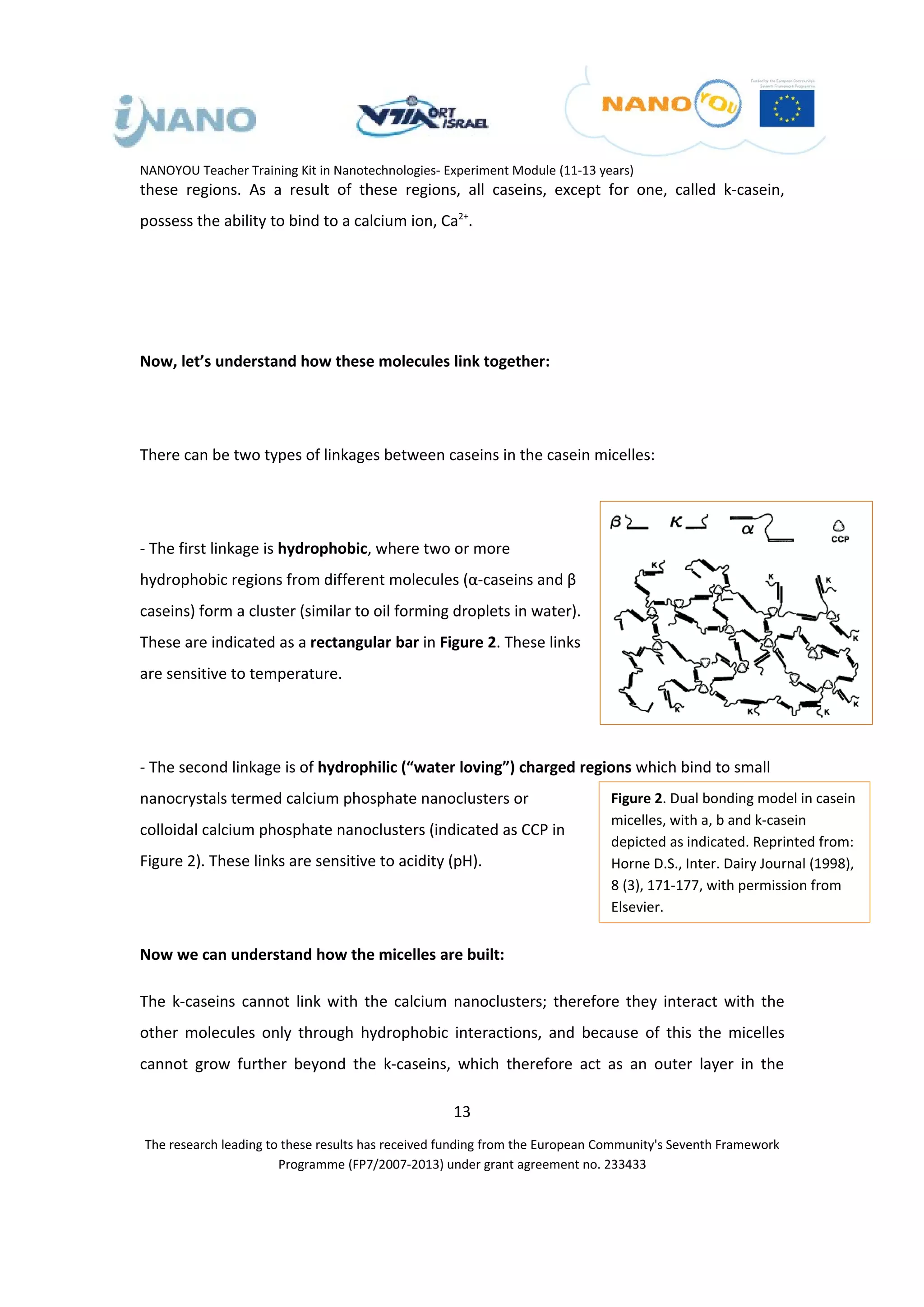 NANOYOU Teacher Training Kit in Nanotechnologies- Experiment Module (11-13 years)
these regions. As a result of these regions, all caseins, except for one, called k-casein,
possess the ability to bind to a calcium ion, Ca2+.




Now, let’s understand how these molecules link together:




There can be two types of linkages between caseins in the casein micelles:




- The first linkage is hydrophobic, where two or more
hydrophobic regions from different molecules (α-caseins and β
caseins) form a cluster (similar to oil forming droplets in water).
These are indicated as a rectangular bar in Figure 2. These links
are sensitive to temperature.




- The second linkage is of hydrophilic (“water loving”) charged regions which bind to small
nanocrystals termed calcium phosphate nanoclusters or                        Figure 2. Dual bonding model in casein
                                                                             micelles, with a, b and k-casein
colloidal calcium phosphate nanoclusters (indicated as CCP in
                                                                             depicted as indicated. Reprinted from:
Figure 2). These links are sensitive to acidity (pH).                        Horne D.S., Inter. Dairy Journal (1998),
                                                                             8 (3), 171-177, with permission from
                                                                             Elsevier.


Now we can understand how the micelles are built:

The k-caseins cannot link with the calcium nanoclusters; therefore they interact with the
other molecules only through hydrophobic interactions, and because of this the micelles
cannot grow further beyond the k-caseins, which therefore act as an outer layer in the

                                                   13
The research leading to these results has received funding from the European Community's Seventh Framework
                       Programme (FP7/2007-2013) under grant agreement no. 233433
 