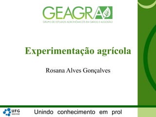 Unindo conhecimento em prol
Experimentação agrícola
Rosana Alves Gonçalves
 