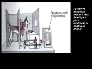 Pavlov va descobrir mecanismes fisiològics per a modificar la conducta animal. 