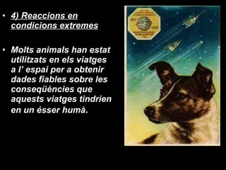 4) Reaccions en condicions extremes Molts animals han estat utilitzats en els viatges a l’ espai per a obtenir dades fiables sobre les conseqüències que aquests viatges tindrien en un ésser humà . 