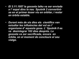 El 3.11.1957 la gosseta laika va ser enviada a l’ espai dins la nau  Sputnik 2 convertint-se en el primer ésser viu en orbitar, i restar  en òrbita estable. Durant més de sis dies els  científics van estudiar les influències del vol en l’ organisme d’ aquesta gosa. L’ Sputnik II es va  desintegrar 162 dies després. La gosseta va ser sacrificada, encara  en òrbita, en el moment de concloure el seu viatge. 