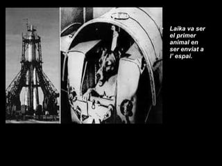 Laika va ser el primer animal en ser enviat a l’ espai. 