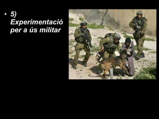 5) Experimentació per a ús militar 
