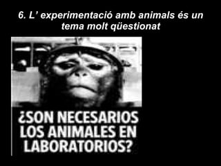 6. L’ experimentació amb animals és un tema molt qüestionat 
